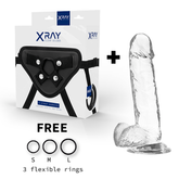 X RAY - HARNESS + TRANSPARENT DILDO WITH BALLS 20 CM -O- 4.5 CM